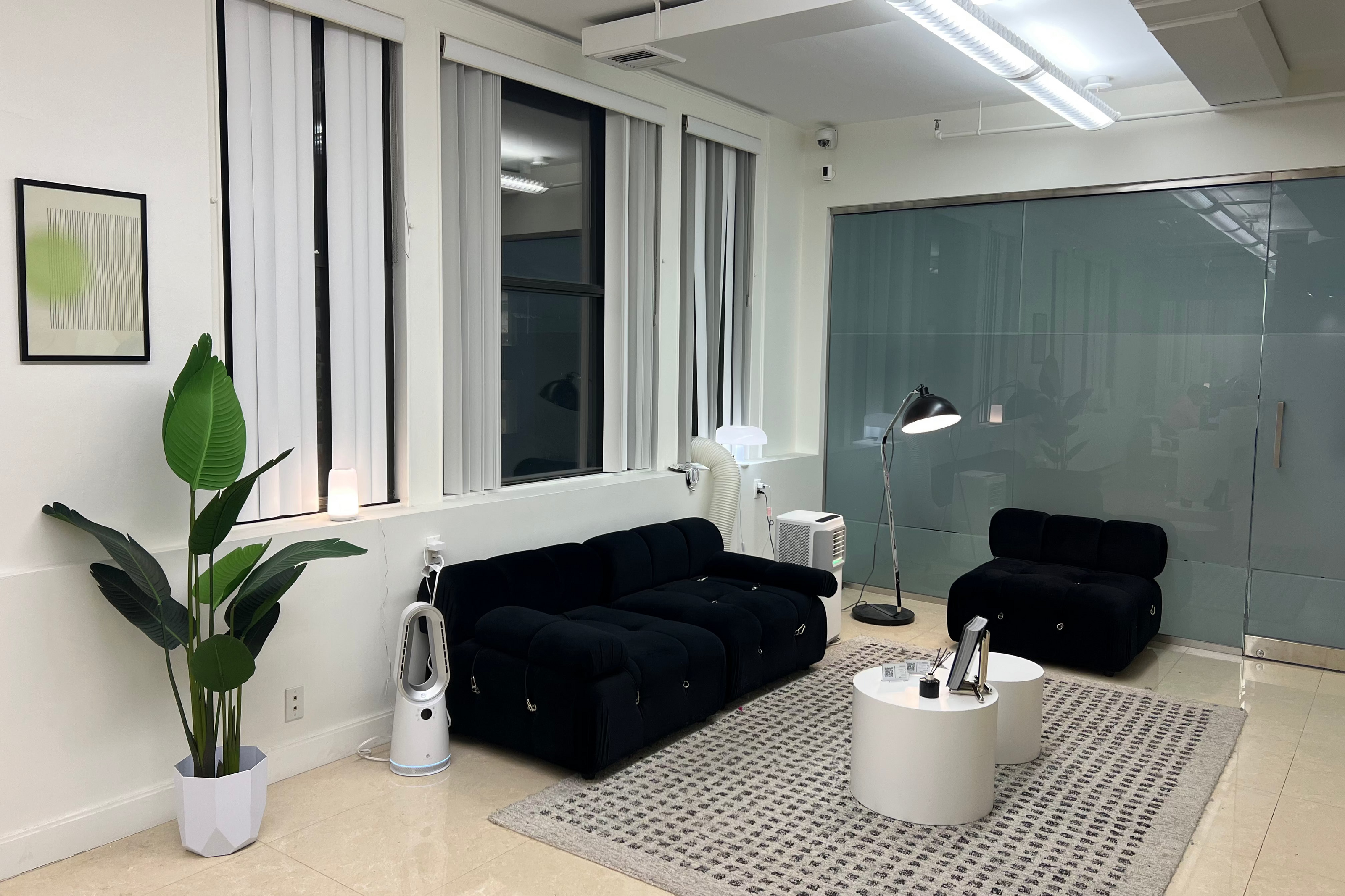 Modern studio space with black sofa, coffee table, and plant.